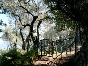 Cami Son Castello, Soller on an easy hiking trail in Mallorca "Cami Son Castello, Soller on an easy hiking trail in Mallorca"