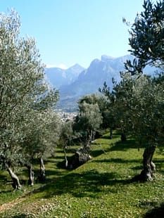 View of the Soller valley in Mallorca Spain "View of the Soller valley when hiking in Mallorca to walk off the hangover"