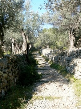 Cami des Rost, Soller easy hiking trail in Spain "Cami des Rost, Soller hiking in Mallorca in Spain"