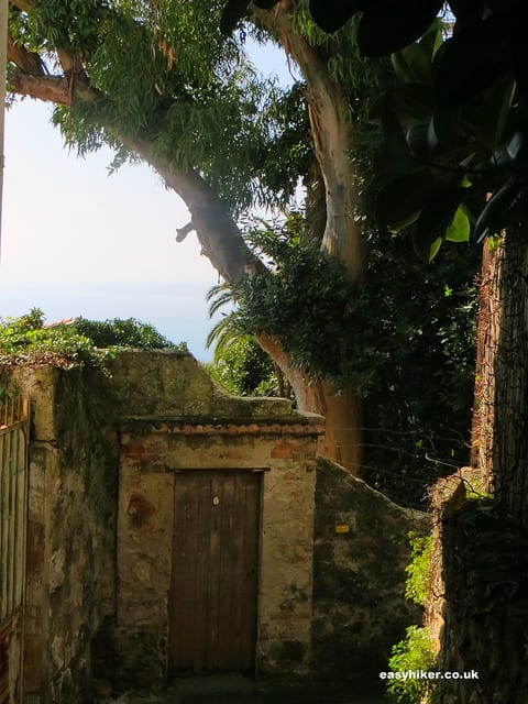 View of the sea from a French Riviera walk on Mont Boron "View of the sea from a French Riviera walk on Mont Boron"