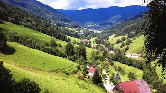 "A valley on a Black Forest Hike"