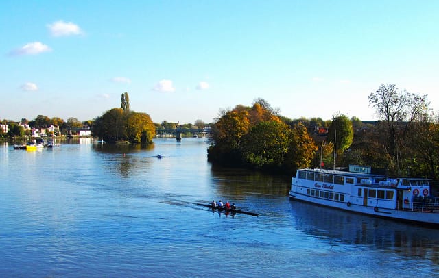 Rowers on the Thames west side "Rowers seen when walking along the Thames"