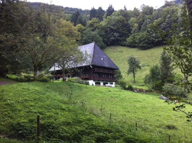 "Farm house nestled on a valley on a Black Forest hike"