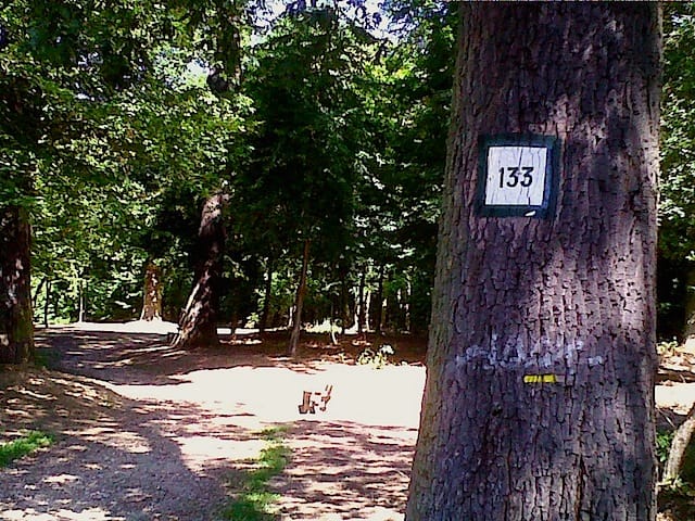 Trail markings in Etang easy hiking trail near Paris "Trail markings on day hiking near Paris in Etang "