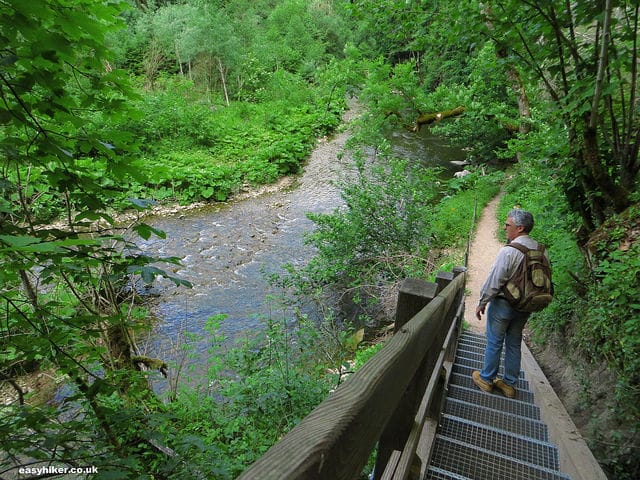 "down a bridge on the Wutach trail of the Black Forest"