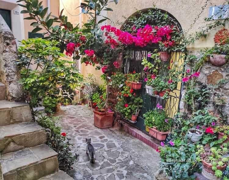 See Agropoli – and Live