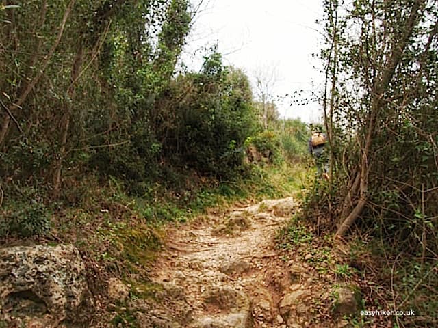"into the woods in Finale Ligure - the grand finale
