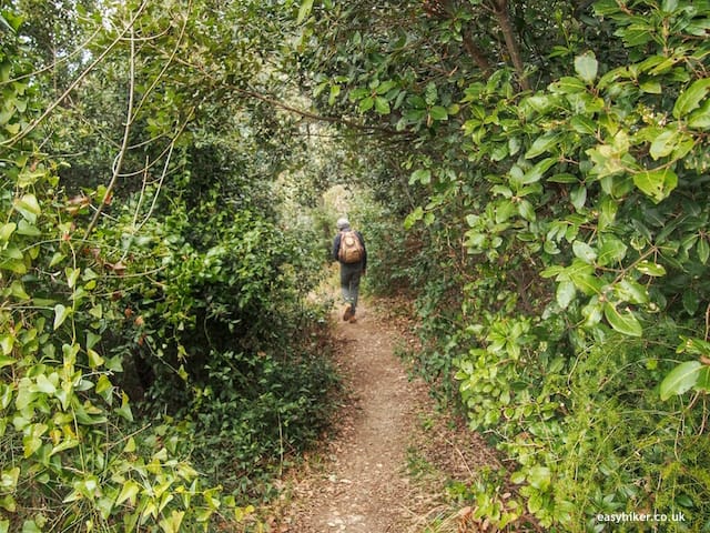 "into the forest hiking in Finale Ligure"